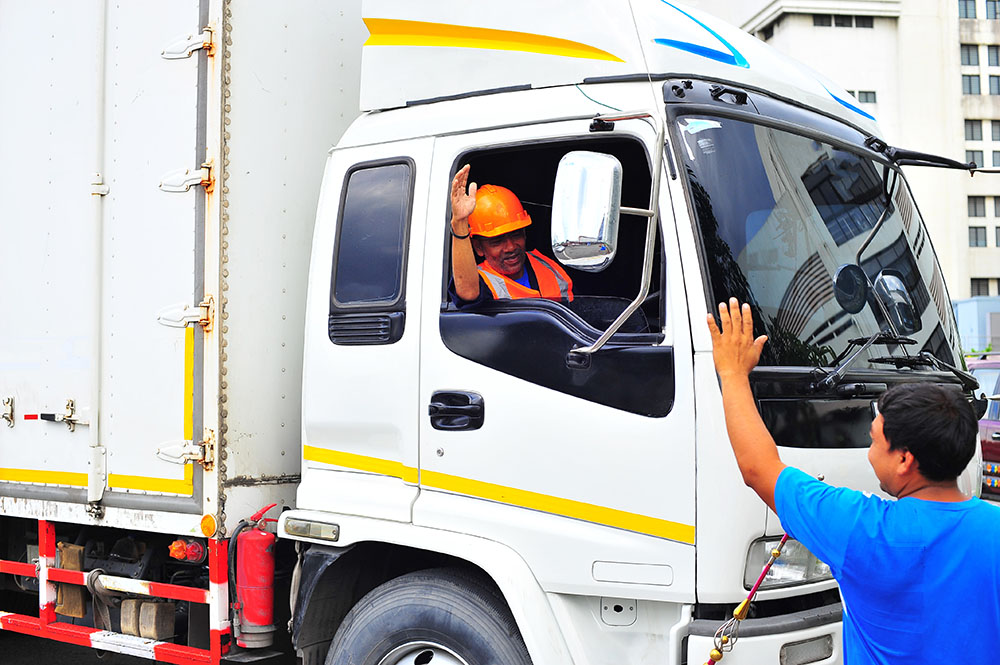 Professional Truck Driver